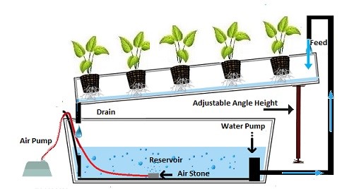 Medium Hydroponic Systems To Set Up At Your Home - Balamb Gardens